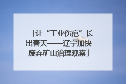 让“工业伤疤”长出春天——辽宁加快废弃矿山治理观察