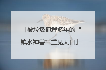 被垃圾掩埋多年的“镇水神兽”重见天日