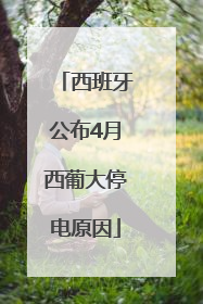 西班牙公布4月西葡大停电原因