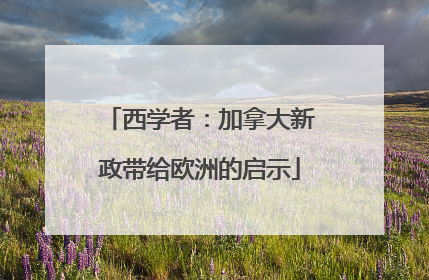 西学者：加拿大新政带给欧洲的启示