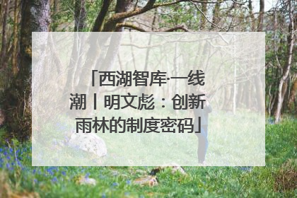 西湖智库·一线潮丨明文彪：创新雨林的制度密码