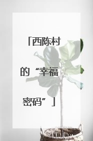 西陈村的“幸福密码”