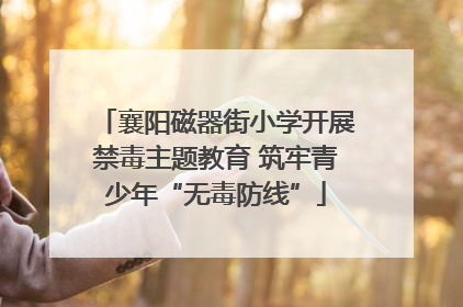 襄阳磁器街小学开展禁毒主题教育 筑牢青少年“无毒防线”
