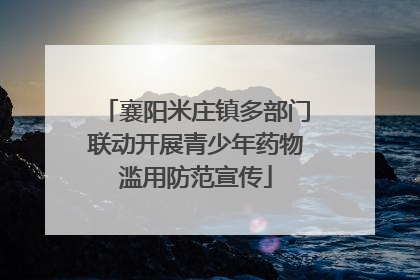 襄阳米庄镇多部门联动开展青少年药物滥用防范宣传