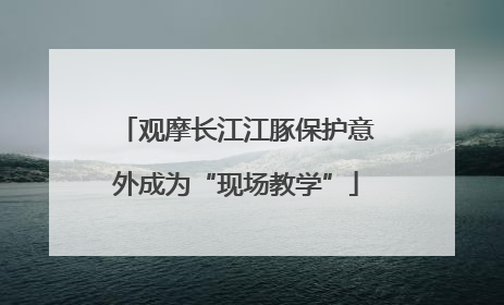 观摩长江江豚保护意外成为“现场教学”