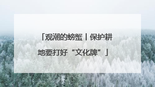 观潮的螃蟹丨保护耕地要打好“文化牌”
