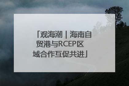 观海潮｜海南自贸港与RCEP区域合作互促共进