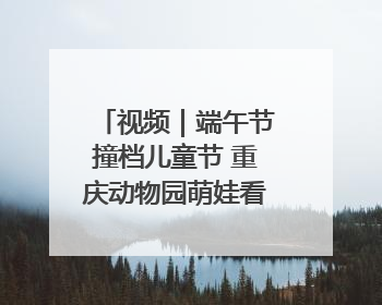 视频｜端午节撞档儿童节 重庆动物园萌娃看萌兽吃特色粽子大餐