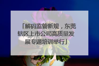 解码监管新规，东莞辖区上市公司高质量发展专题培训举行