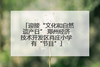 迎接“文化和自然遗产日” 郑州经济技术开发区肖庄小学有“节目”