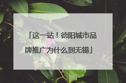 这一站！德阳城市品牌推广为什么到无锡