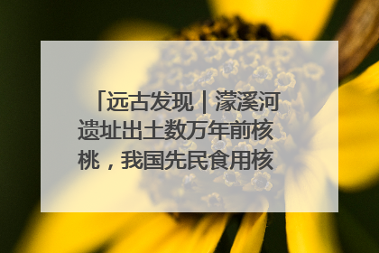 远古发现｜濛溪河遗址出土数万年前核桃，我国先民食用核桃历史大幅提前