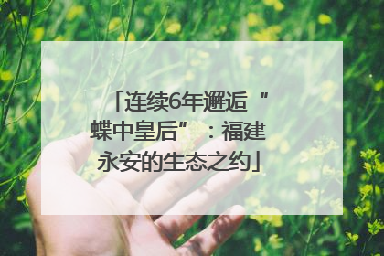 连续6年邂逅“蝶中皇后”：福建永安的生态之约