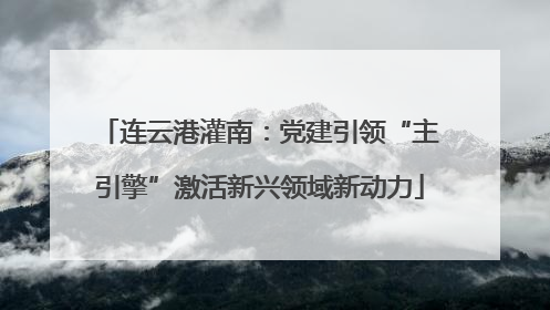 连云港灌南：党建引领“主引擎”激活新兴领域新动力