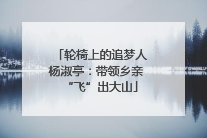 轮椅上的追梦人杨淑亭：带领乡亲“飞”出大山
