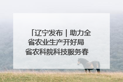 辽宁发布｜助力全省农业生产开好局 省农科院科技服务春耕备耕成效显著