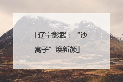 辽宁彰武：“沙窝子”焕新颜