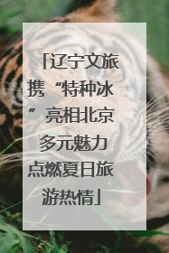 辽宁文旅携“特种冰”亮相北京 多元魅力点燃夏日旅游热情
