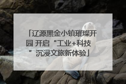 辽源黑金小镇璀璨开园 开启“工业+科技”沉浸文旅新体验