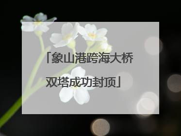 象山港跨海大桥双塔成功封顶