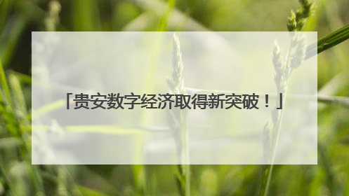 贵安数字经济取得新突破！