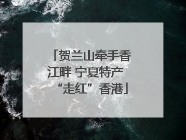 贺兰山牵手香江畔 宁夏特产“走红”香港
