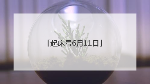 起床号6月11日