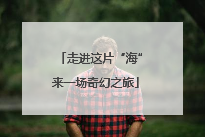 走进这片“海”来一场奇幻之旅