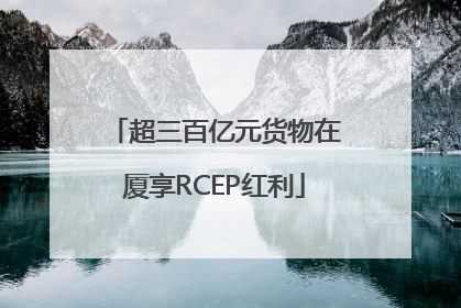 超三百亿元货物在厦享RCEP红利