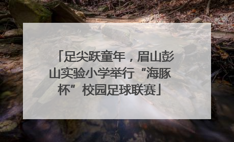 足尖跃童年，眉山彭山实验小学举行“海豚杯”校园足球联赛