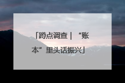 蹲点调查｜“账本”里头话振兴