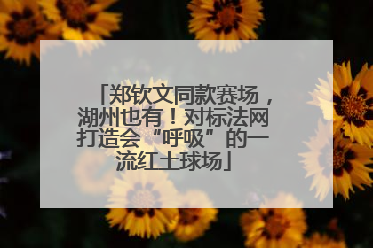 郑钦文同款赛场，湖州也有！对标法网打造会“呼吸”的一流红土球场