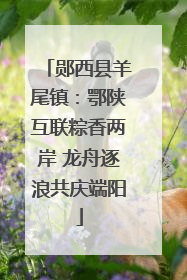 郧西县羊尾镇：鄂陕互联粽香两岸 龙舟逐浪共庆端阳