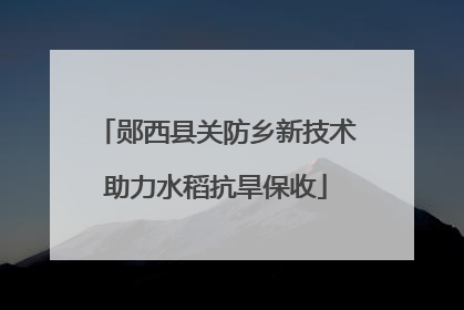郧西县关防乡新技术助力水稻抗旱保收