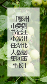 鄂州市委副书记汪小波出任湖北大数据集团董事长