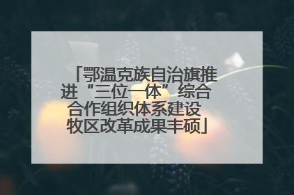 鄂温克族自治旗推进“三位一体”综合合作组织体系建设 牧区改革成果丰硕