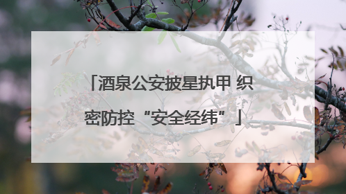 酒泉公安披星执甲 织密防控“安全经纬”