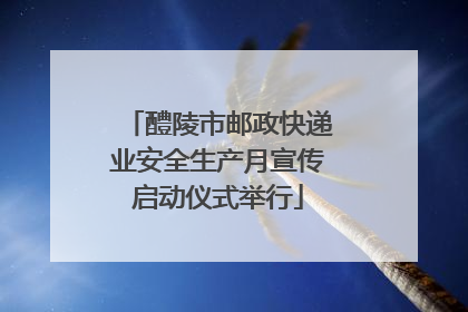 醴陵市邮政快递业安全生产月宣传启动仪式举行