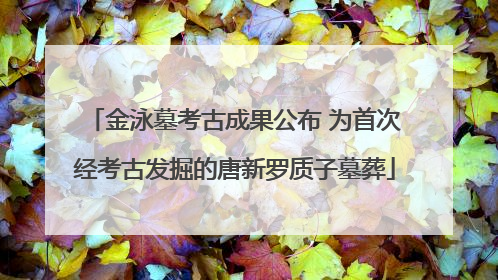 金泳墓考古成果公布 为首次经考古发掘的唐新罗质子墓葬