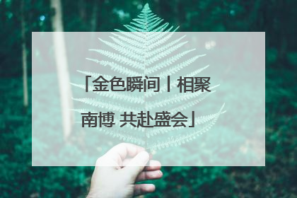 金色瞬间丨相聚南博 共赴盛会
