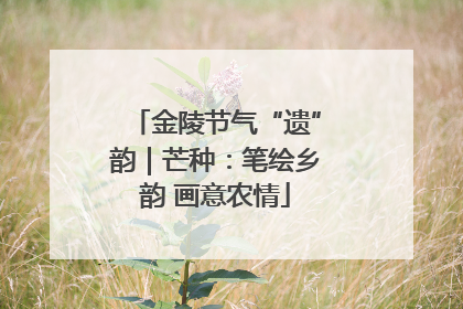 金陵节气“遗”韵｜芒种：笔绘乡韵 画意农情