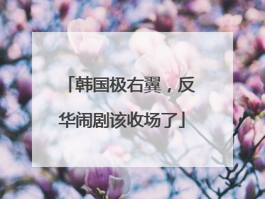 韩国极右翼，反华闹剧该收场了