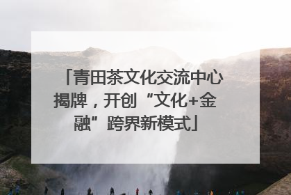 青田茶文化交流中心揭牌，开创“文化+金融”跨界新模式