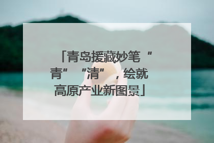 青岛援藏妙笔“青”“清”，绘就高原产业新图景