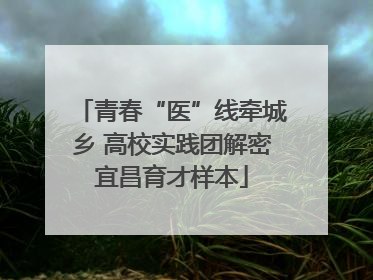 青春“医”线牵城乡 高校实践团解密宜昌育才样本