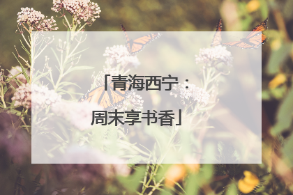 青海西宁：周末享书香
