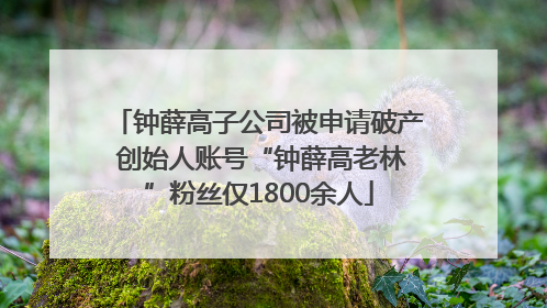 钟薛高子公司被申请破产 创始人账号“钟薛高老林”粉丝仅1800余人