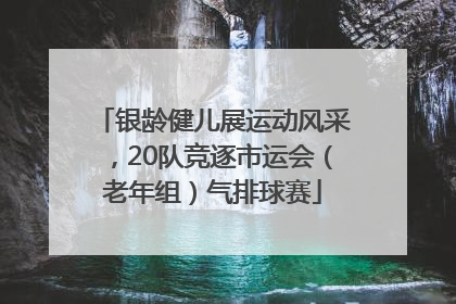 银龄健儿展运动风采，20队竞逐市运会（老年组）气排球赛