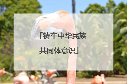 铸牢中华民族共同体意识