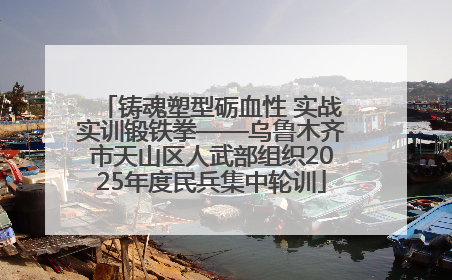 铸魂塑型砺血性 实战实训锻铁拳——乌鲁木齐市天山区人武部组织2025年度民兵集中轮训